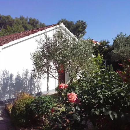 Apartman Neda